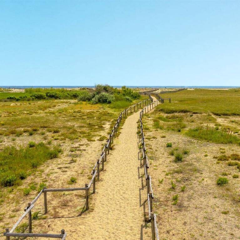 Camping Torreilles